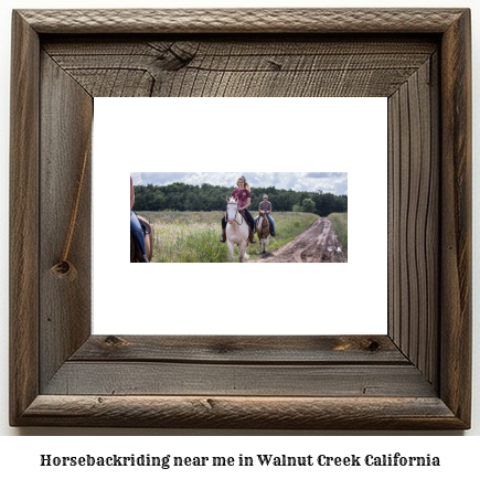 horseback riding near me in Walnut Creek, California